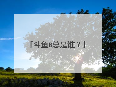 斗鱼B总是谁？