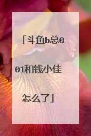 斗鱼b总001和钱小佳怎么了