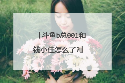 斗鱼b总001和钱小佳怎么了?