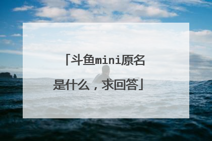 斗鱼mini原名是什么,求回答