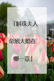 斛珠夫人帝旭大婚在哪一章