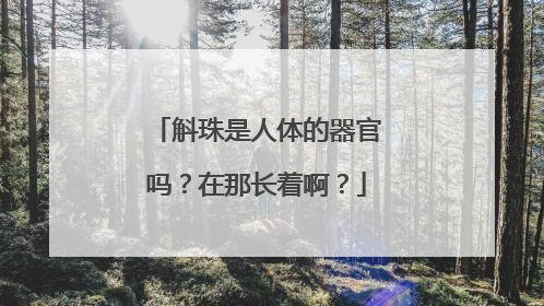 斛珠是人体的器官吗？在那长着啊？
