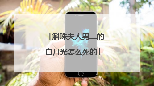 斛珠夫人男二的白月光怎么死的
