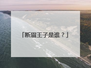 断眉王子是谁？