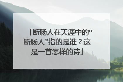 断肠人在天涯中的“断肠人”指的是谁？这是一首怎样的诗