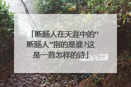 断肠人在天涯中的“断肠人”指的是谁?这是一首怎样的诗