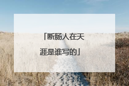 断肠人在天涯是谁写的