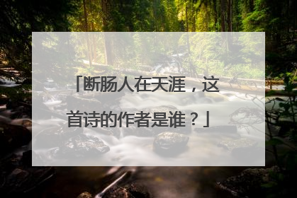 断肠人在天涯，这首诗的作者是谁？