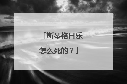 斯琴格日乐怎么死的?