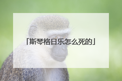 斯琴格日乐怎么死的