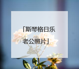 斯琴格日乐老公照片