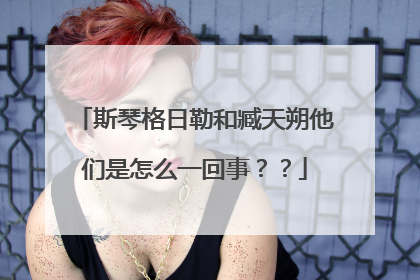 斯琴格日勒和臧天朔他们是怎么一回事??