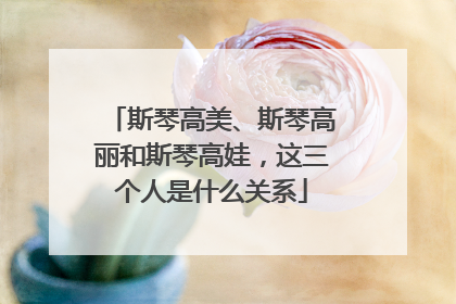 斯琴高美、斯琴高丽和斯琴高娃，这三个人是什么关系