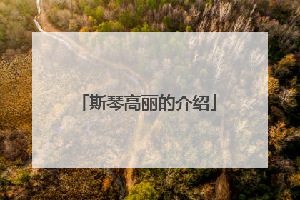 斯琴高丽的介绍