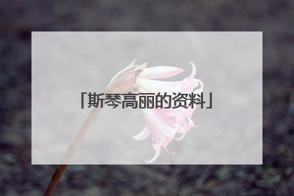 斯琴高丽的资料