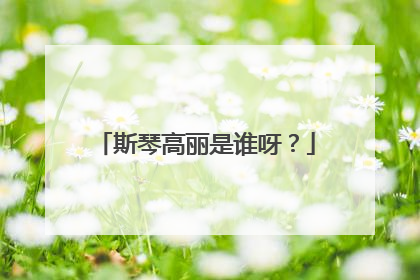 斯琴高丽是谁呀？