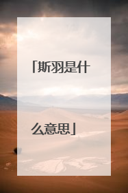 斯羽是什么意思