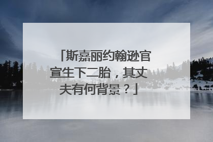 斯嘉丽约翰逊官宣生下二胎,其丈夫有何背景?