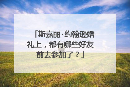 斯嘉丽·约翰逊婚礼上,都有哪些好友前去参加了?