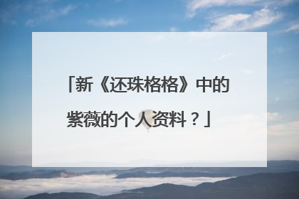 新《还珠格格》中的紫薇的个人资料？