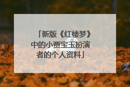 新版《红楼梦》中的小贾宝玉扮演者的个人资料
