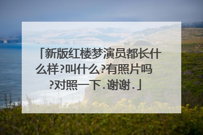 新版红楼梦演员都长什么样?叫什么?有照片吗?对照一下.谢谢.