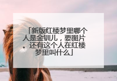 新版红楼梦里哪个人是金钏儿，要图片。还有这个人在红楼梦里叫什么