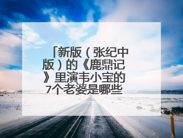 新版（张纪中版）的《鹿鼎记》里演韦小宝的7个老婆是哪些人？？？？？