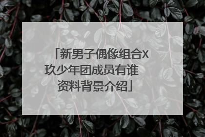 新男子偶像组合X玖少年团成员有谁 资料背景介绍
