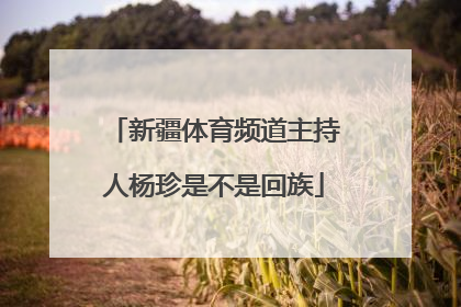 新疆体育频道主持人杨珍是不是回族