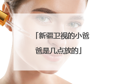 新疆卫视的小爸爸是几点放的