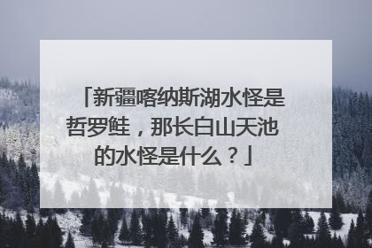 新疆喀纳斯湖水怪是哲罗鲑，那长白山天池的水怪是什么？