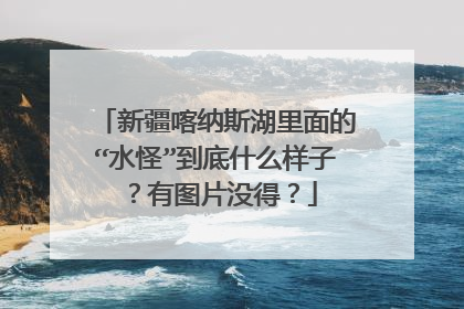 新疆喀纳斯湖里面的“水怪”到底什么样子?有图片没得?