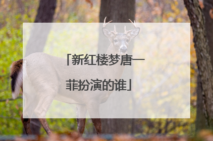 新红楼梦唐一菲扮演的谁