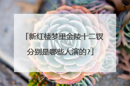 新红楼梦里金陵十二钗分别是哪些人演的?