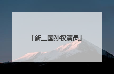 新三国孙权演员