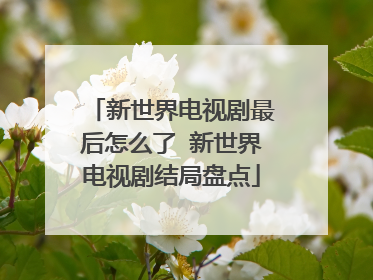 新世界电视剧最后怎么了 新世界电视剧结局盘点