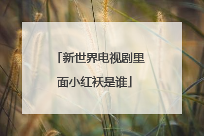 新世界电视剧里面小红袄是谁