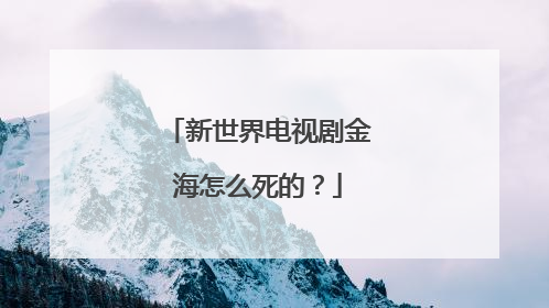 新世界电视剧金海怎么死的?