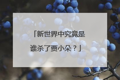 新世界中究竟是谁杀了贾小朵？