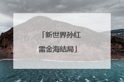 新世界孙红雷金海结局