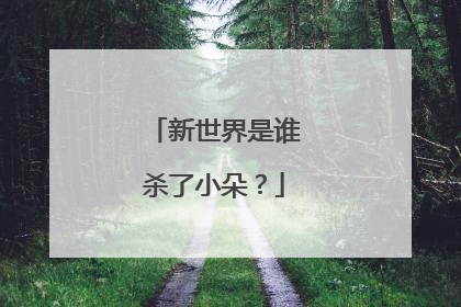 新世界是谁杀了小朵?