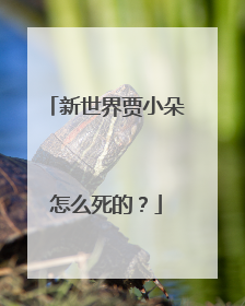 新世界贾小朵怎么死的?