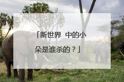 新世界 中的小朵是谁杀的?