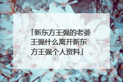 新东方王强的老婆 王强什么离开新东方王强个人资料