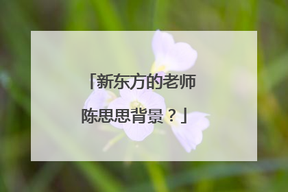 新东方的老师陈思思背景？