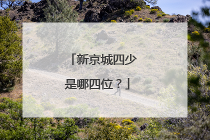 新京城四少是哪四位？
