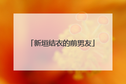 新垣结衣的前男友