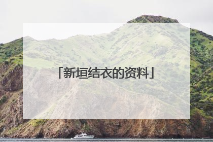 新垣结衣的资料