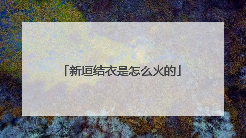 新垣结衣是怎么火的